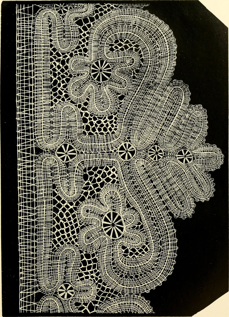 An illustration from History of lace, 1902, leaf 468