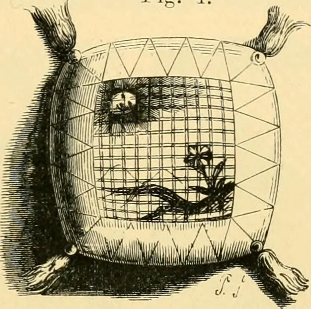 An illustration from History of lace, 1902, leaf 52