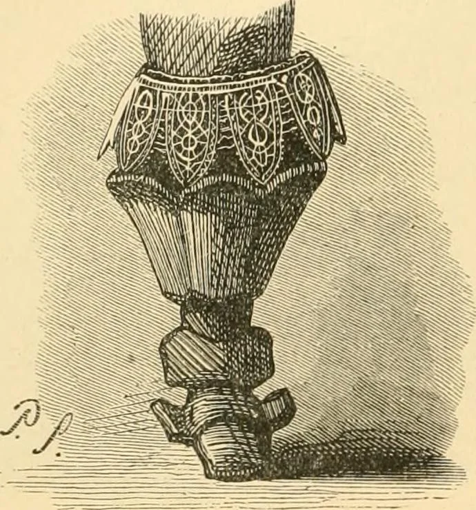 An illustration from History of lace, 1902, leaf 525