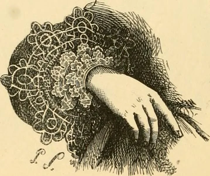 An illustration from History of lace, 1902, leaf 525