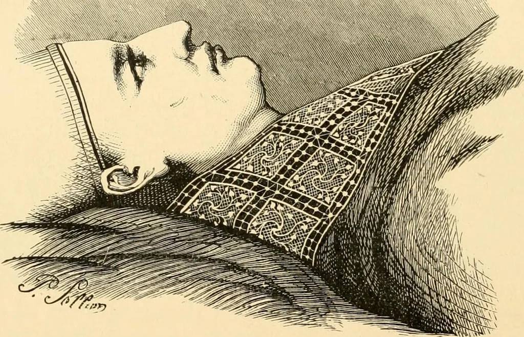 An illustration from History of lace, 1902, leaf 621