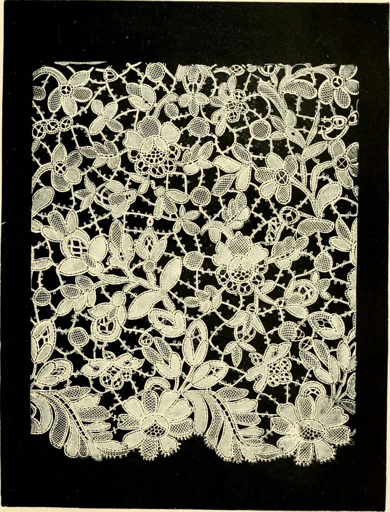 An illustration from History of lace, 1902, leaf 628