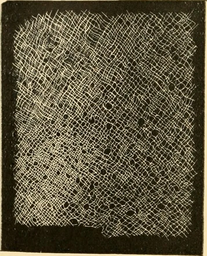 An illustration from History of lace, 1902, leaf 687