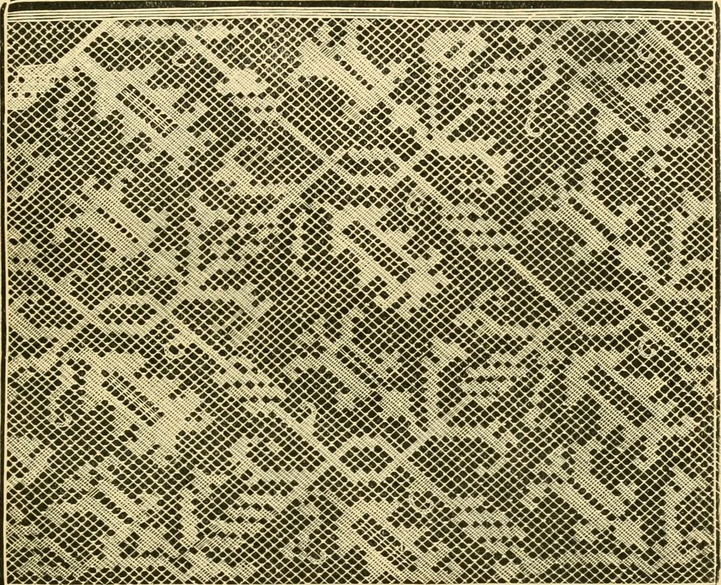 An illustration from History of lace, 1902, leaf 98