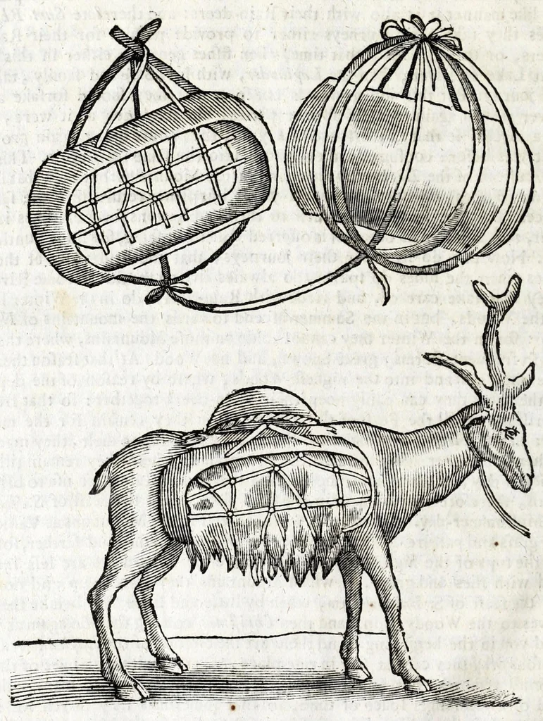 An illustration from The history of Lapland, wherein are shewed the original, manners, habits, marriages, conjurations, &c. of that people, 1674, leaf 102