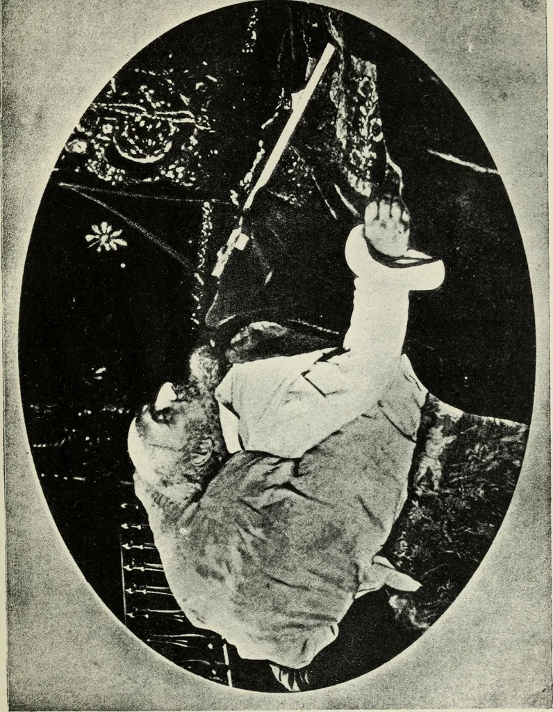 An illustration from The history of magic : including a clear and precise exposition of its procedure, its rites and its mysteries, 1922, leaf 28
