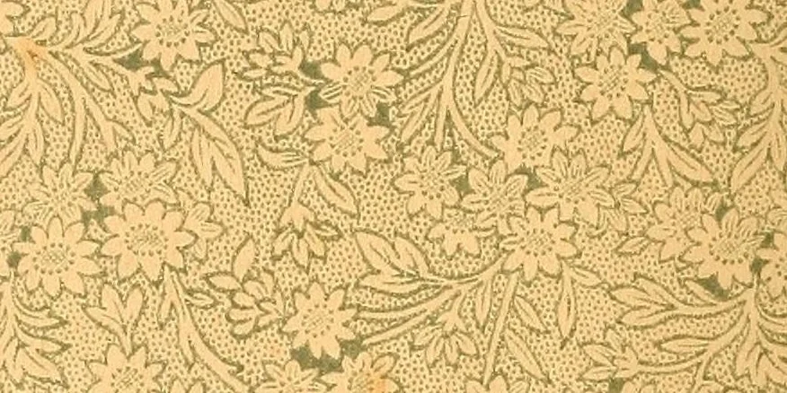 An illustration from A history of New York : from the beginning of the world to the end of the Dutch Dynasty, 1800, leaf 2