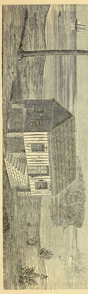 An illustration from History of the origin, development and condition of missions among the Sherbro and Mendi tribes in western Africa, 1885, leaf 289