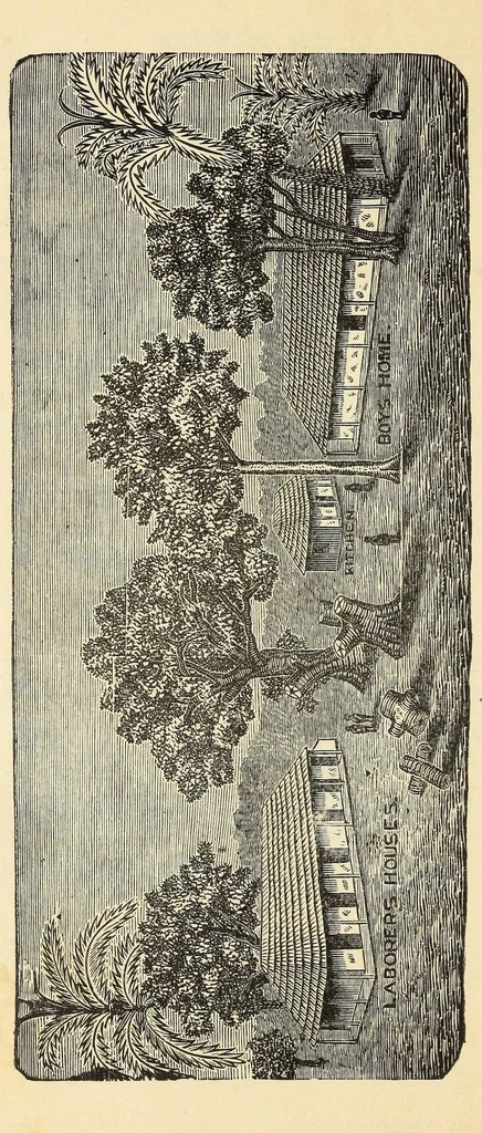 An illustration from History of the origin, development and condition of missions among the Sherbro and Mendi tribes in western Africa, 1885, leaf 330