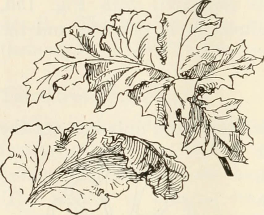 An illustration from A history of ornament, 1916, leaf 147