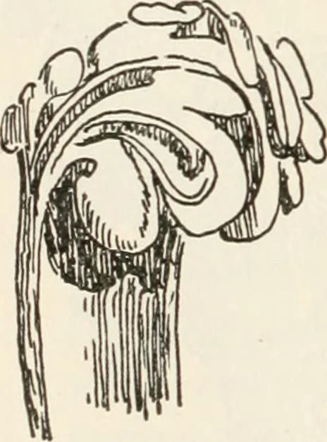 An illustration from A history of ornament, 1916, leaf 333