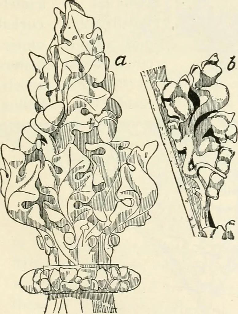 An illustration from A history of ornament, 1916, leaf 380