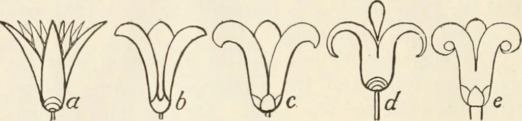 An illustration from A history of ornament, 1916, leaf 69