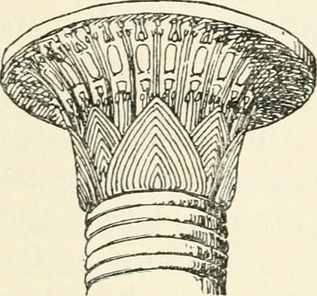 An illustration from A history of ornament, 1916, leaf 70