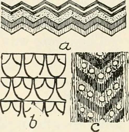 An illustration from A history of ornament, 1916, leaf 72