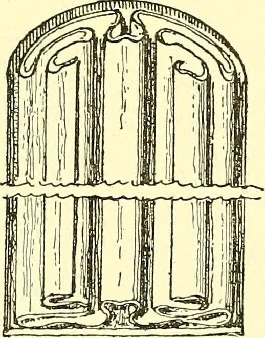 An illustration from A history of ornament .., 1916, leaf 465