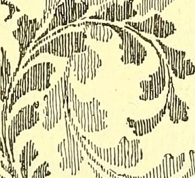 An illustration from A history of ornament .., 1916, leaf 610