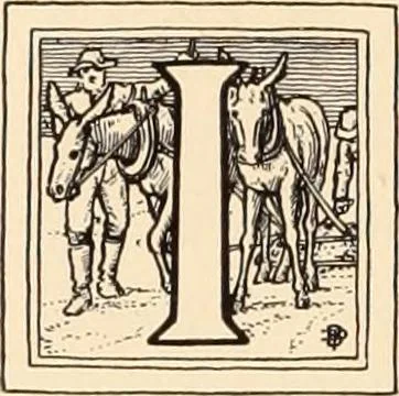 An illustration from A history of real estate, building and architecture in New York City during the last quarter of a century, 1898, leaf 137