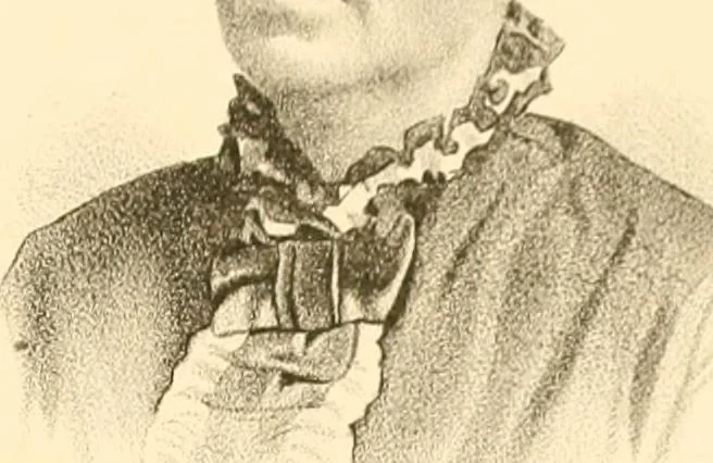 An illustration from History of Rensselaer Co., New York, 1880, leaf 650