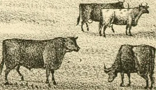 An illustration from History of Rensselaer Co., New York, 1880, leaf 784