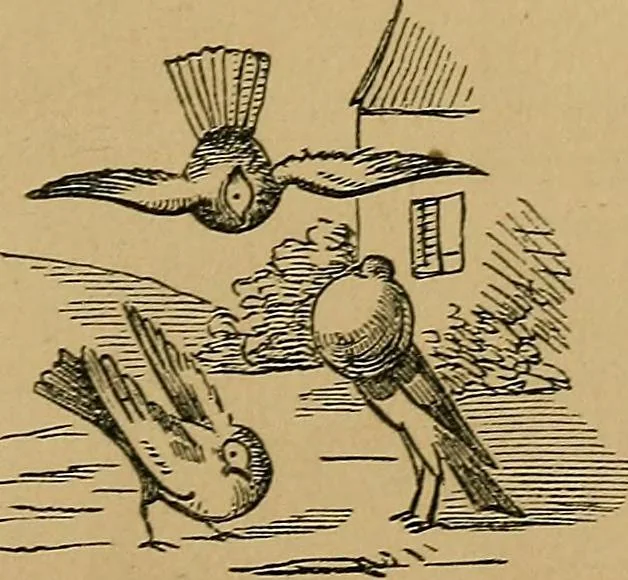 An illustration from The history of signboards : from earliest times to the present day, 1866, leaf 462