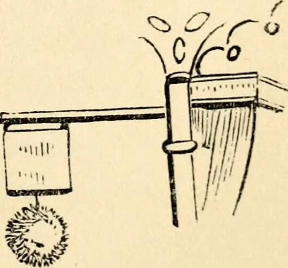 An illustration from The history of signboards : from the earliest times to the present day, 1870, leaf 33