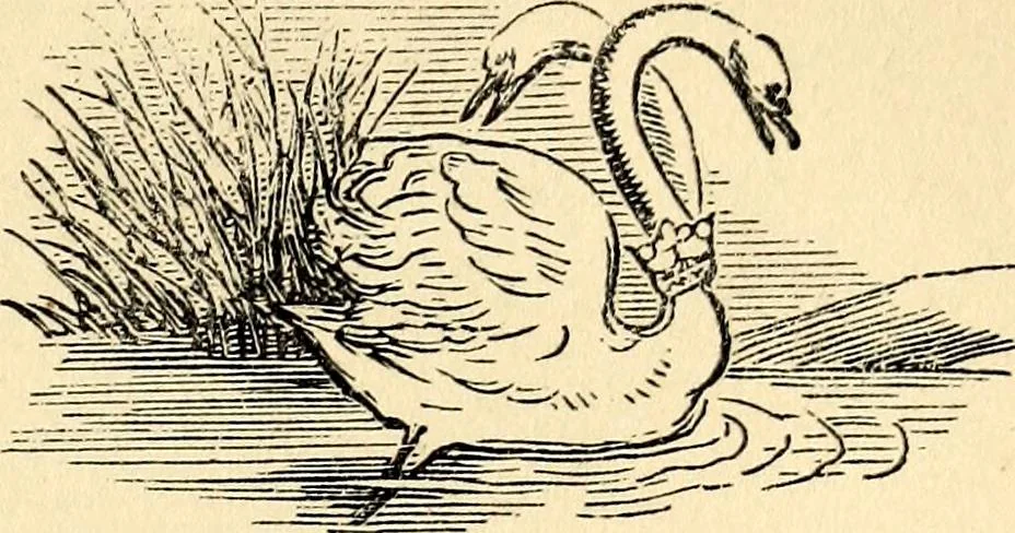 An illustration from The history of signboards : from the earliest times to the present day, 1870, leaf 495