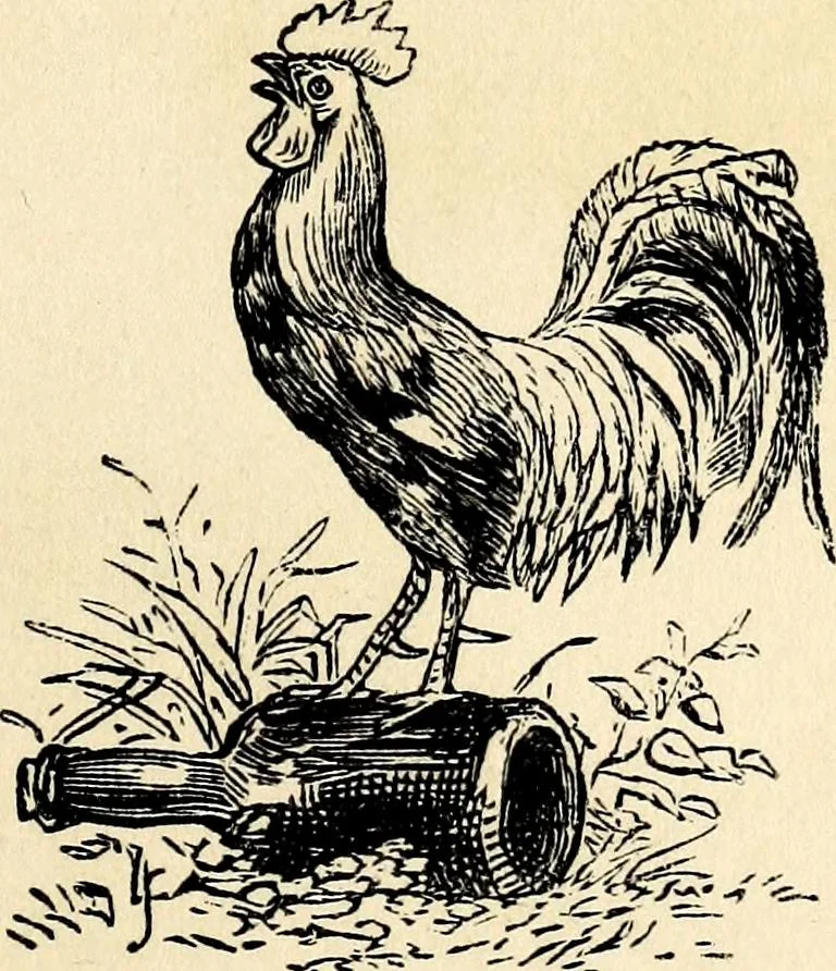An illustration from The history of signboards : from the earliest times to the present day, 1870, leaf 5