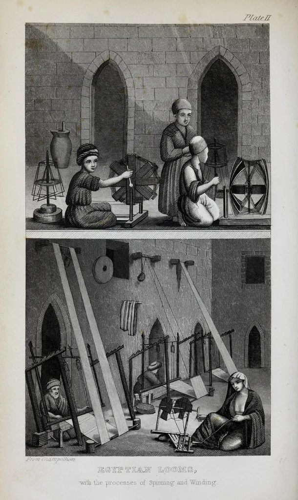 An illustration from The history of silk, cotton, linen, wool, and other fibrous substances : including observations on spinning, dyeing, and weaving : also an account of the pastoral life of the ancients, their social state and attainments in the domestic arts : with appendices on Pliny's Natural history, on the origin and manufacture of linen and cotton paper, on felting, netting, &c., deduced from copious and authentic sources, 1845, leaf 126