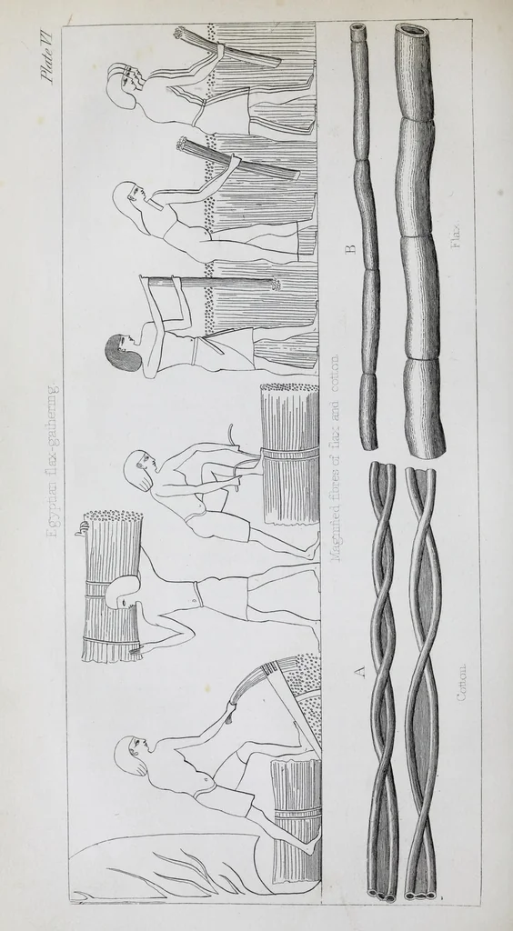 An illustration from The history of silk, cotton, linen, wool, and other fibrous substances : including observations on spinning, dyeing, and weaving : also an account of the pastoral life of the ancients, their social state and attainments in the domestic arts : with appendices on Pliny's Natural history, on the origin and manufacture of linen and cotton paper, on felting, netting, &c., deduced from copious and authentic sources, 1845, leaf 406