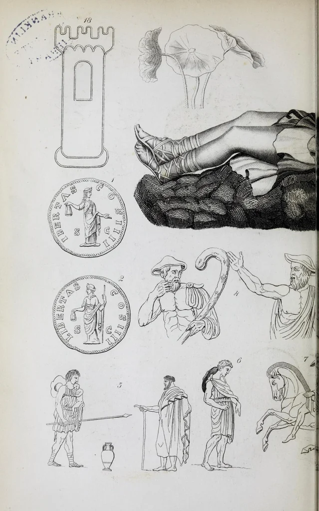 An illustration from The history of silk, cotton, linen, wool, and other fibrous substances : including observations on spinning, dyeing, and weaving : also an account of the pastoral life of the ancients, their social state and attainments in the domestic arts : with appendices on Pliny's Natural history, on the origin and manufacture of linen and cotton paper, on felting, netting, &c., deduced from copious and authentic sources, 1845, leaf 494