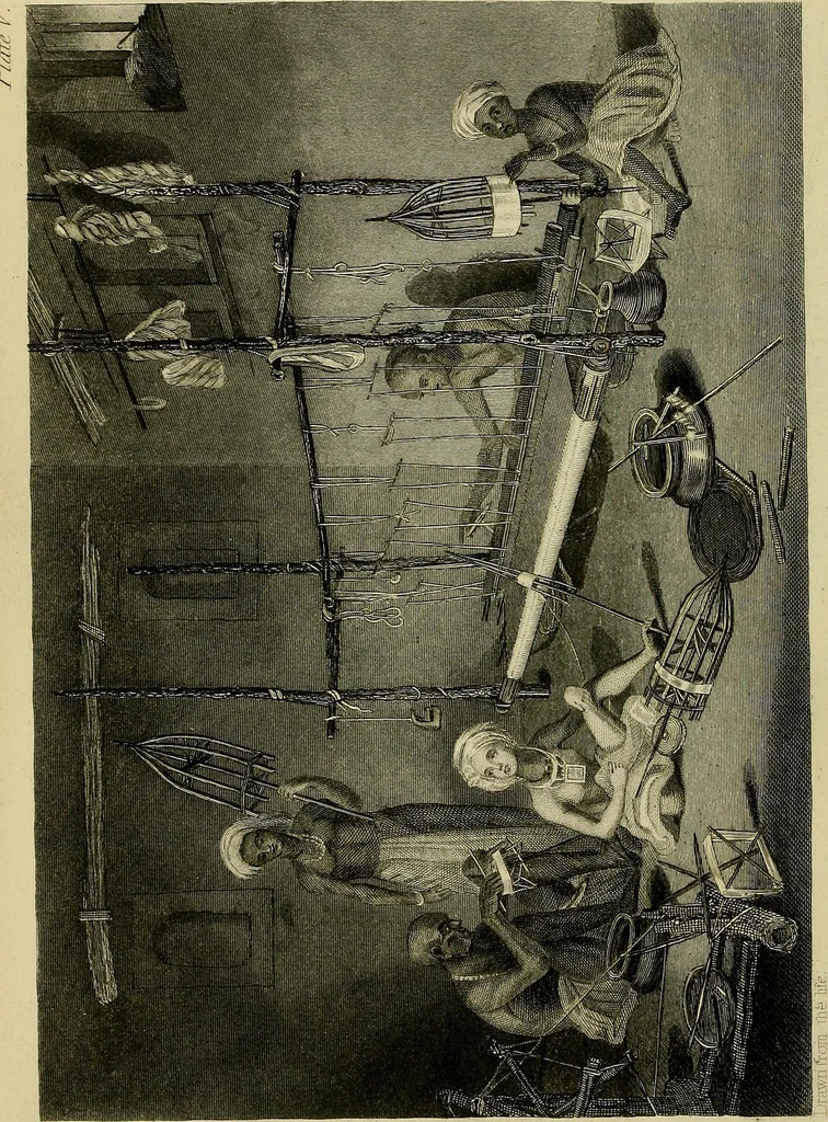 An illustration from The history of silk, cotton, linen, wool, and other fibrous substances;, 1845, leaf 353