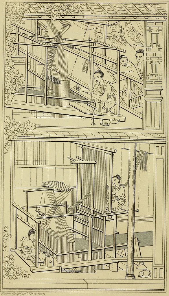 An illustration from The history of silk, cotton, linen, wool, and other fibrous substances;, 1845, leaf 7