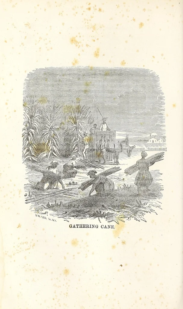 An illustration from The history of slavery and the slave trade, ancient and modern : the forms of slavery that prevailed in ancient nations, particularly in Greece and Rome : the African slave trade and the political history of slavery in the United States, 1860, leaf 544