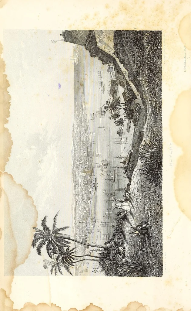 An illustration from The history of slavery and the slave trade, ancient and modern : the forms of slavery that prevailed in ancient nations, particularly in Greece and Rome : the African slave trade and the political history of slavery in the United States, 1860, leaf 8