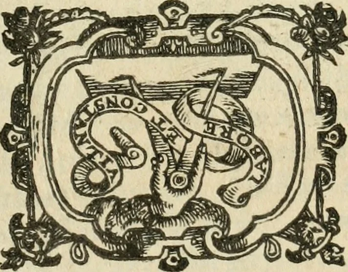 An illustration from The history of that great and renowned monarchy of China. Wherein all the particular provinces are accurately described: as also the dispositions, manners, learning, lawes, militia, government, and religion of the people. Together with the traffick and commodities of that countrey, 1655, leaf 272