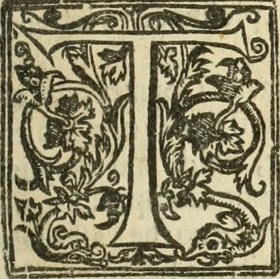 An illustration from The history of that great and renowned monarchy of China. Wherein all the particular provinces are accurately described: as also the dispositions, manners, learning, lawes, militia, government, and religion of the people. Together with the traffick and commodities of that countrey, 1655, leaf 276