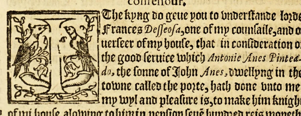 An illustration from The history of trauayle in the VVest and East Indies, and other countreys lying eyther way, towardes the fruitfull and ryche Moluccaes. : ... VVith a discourse of the Northwest passage., 1577, leaf 706