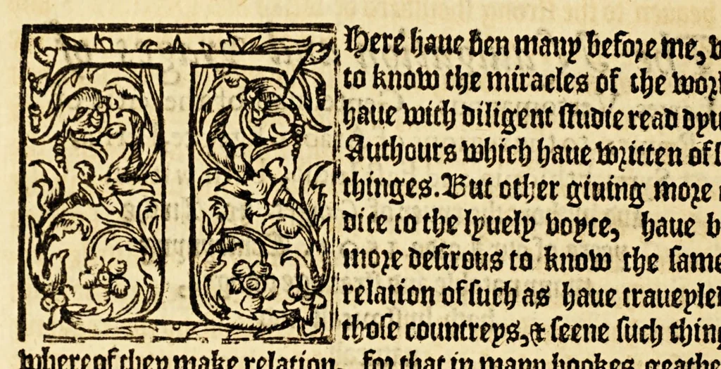 An illustration from The history of trauayle in the VVest and East Indies, and other countreys lying eyther way, towardes the fruitfull and ryche Moluccaes. : ... VVith a discourse of the Northwest passage., 1577, leaf 732