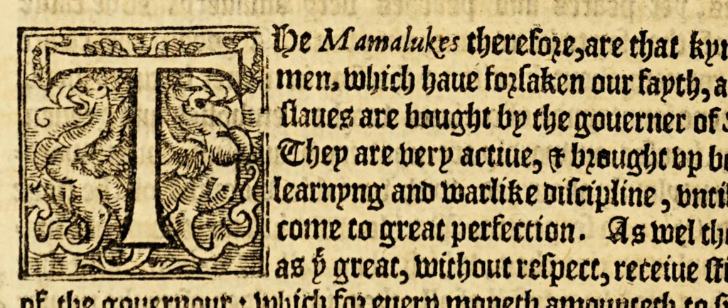 An illustration from The history of trauayle in the VVest and East Indies, and other countreys lying eyther way, towardes the fruitfull and ryche Moluccaes. : ... VVith a discourse of the Northwest passage., 1577, leaf 740