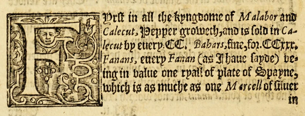 An illustration from The history of trauayle in the VVest and East Indies, and other countreys lying eyther way, towardes the fruitfull and ryche Moluccaes. : ... VVith a discourse of the Northwest passage., 1577, leaf 876