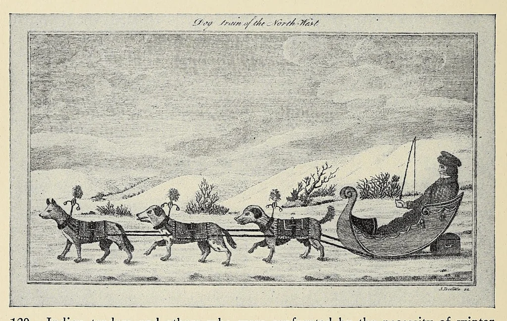 An illustration from A history of travel in America : showing the development of travel and transportation from the crude methods of the canoe and the dog-sled to the highly organized railway systems of the present, together with a narrative of the human experiences and changing social conditions that accompanied this economic conquest of the continent, 1915, leaf 100