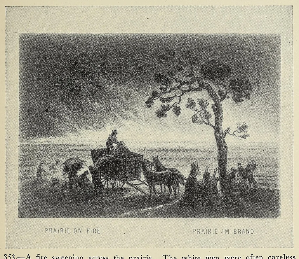 An illustration from A history of travel in America : showing the development of travel and transportation from the crude methods of the canoe and the dog-sled to the highly organized railway systems of the present, together with a narrative of the human experiences and changing social conditions that accompanied this economic conquest of the continent, 1915, leaf 101