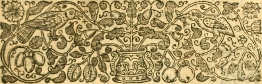 An illustration from The history of Venice, in the times of Julius the 2d ..., 1658, leaf 396