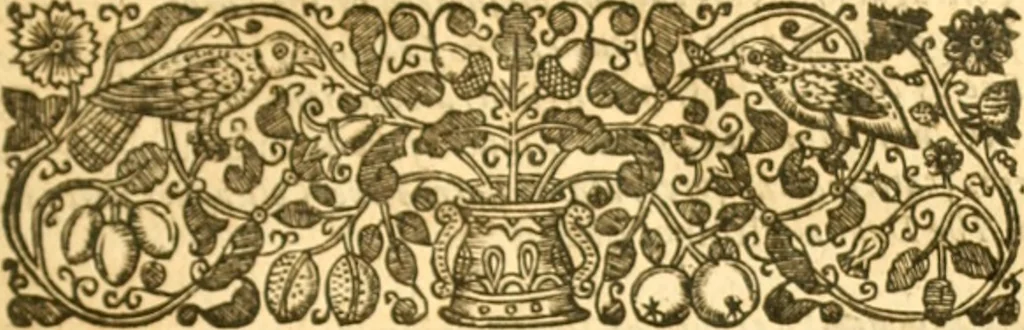 An illustration from The history of Venice, in the times of Julius the 2d ..., 1658, leaf 438