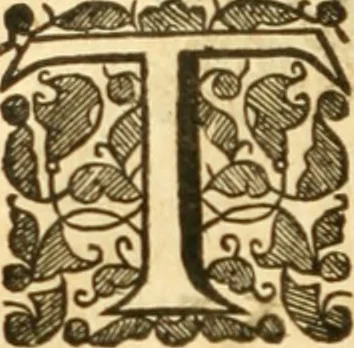 An illustration from The history of Venice, in the times of Julius the 2d ..., 1658, leaf 481