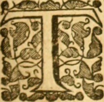 An illustration from The history of Venice, in the times of Julius the 2d ..., 1658, leaf 506