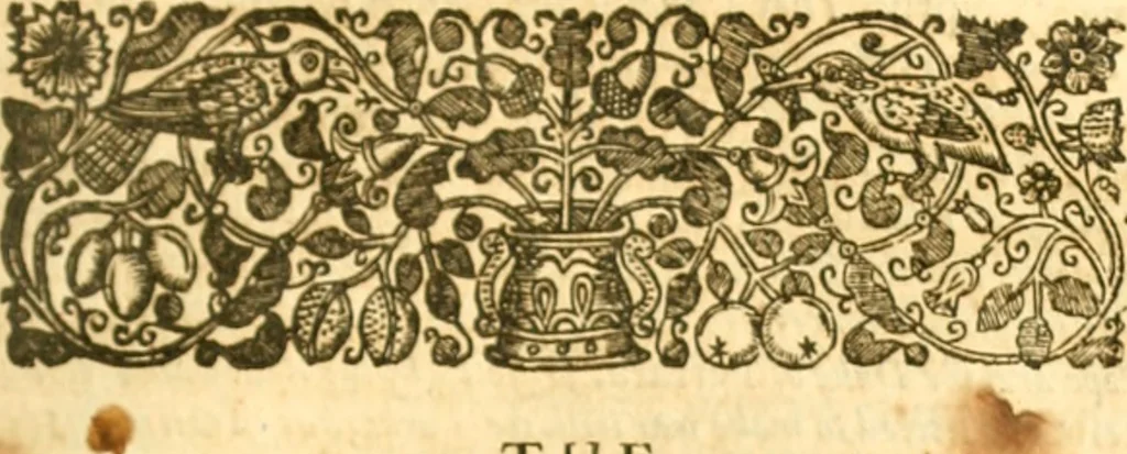 An illustration from The history of Venice, in the times of Julius the 2d ..., 1658, leaf 578