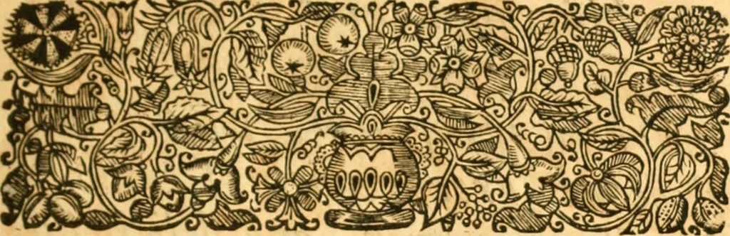 An illustration from The history of Venice, in the times of Julius the 2d ..., 1658, leaf 6