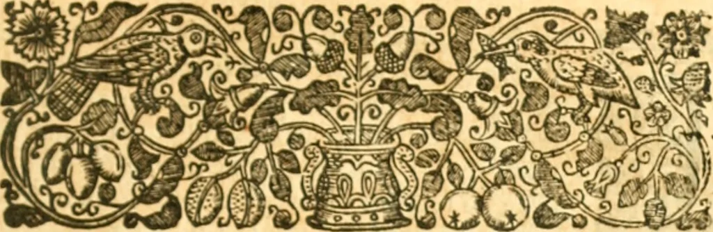 An illustration from The history of Venice, in the times of Julius the 2d ..., 1658, leaf 654